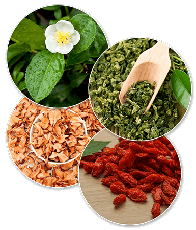 PT Trim Fat Burn ingredients