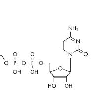 Citicoline-Cognizin