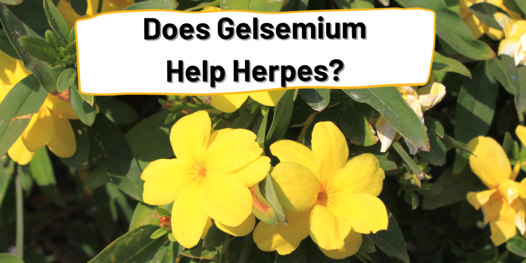 Does Gelsemium Help Herpes?